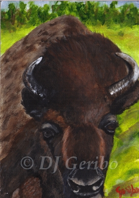 buffalo-home-painting-by-artist-dj-geribo.jpg