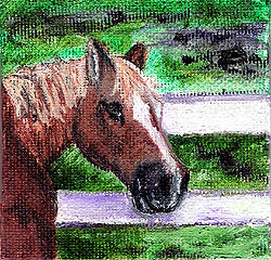 horse-in-the-meadow-painting-by-artist-dj-geribo.jpg