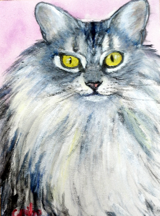 Maine Coon Cat in Acrylics