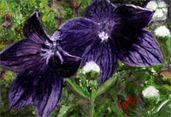 balloon-flowers-painting-by-artist-dj-geribo.jpg