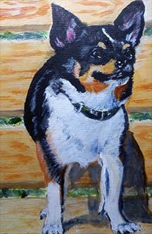 chico-mini-animal-portrait.jpg