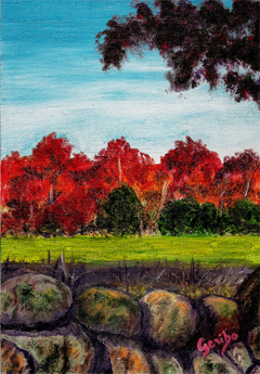 fall-in-nh-country-painting-by-dj-geribo.jpg