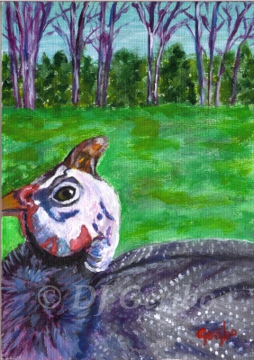 guinea-hen-gawking-painting-by-artist-dj-geribo.jpg