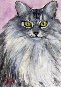 kitty-mini-animal-portrait.jpg
