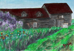 maple-syrup-for-sale-painting-by-artist-dj-geribo.jpg