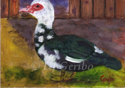 muscovy-duck-painting-by-artist-dj-geribo.jpg