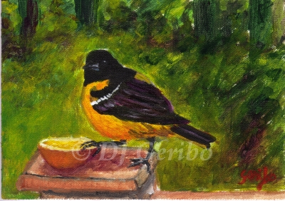 orange-oriole-painting-by-artist-dj-geribo.jpg