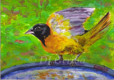 oriole-ready-for-bath-painting-by-artist-dj-geribo.jpg