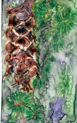 pinecone-painting-by-artist-dj-geribo.jpg