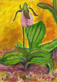 pink-lady-slipper-painting-by-artist-dj-geribo.jpg