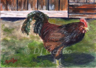 poppy-cock-painting-by-artist-dj-geribo.jpg