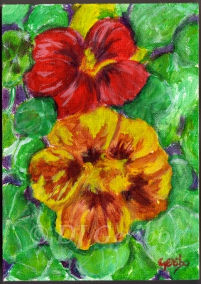 pretty-pansies-painting-by-artist-dj-geribo.jpg