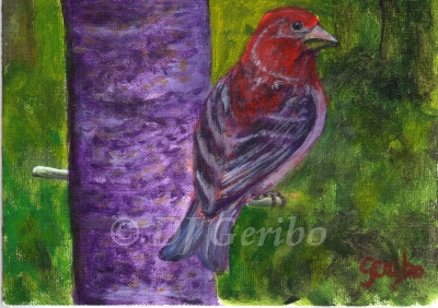 purple-finch-feeder-painting-by-artist-dj-geribo.jpg