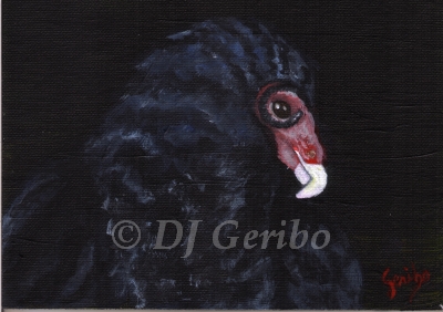 regal-turkey-vulture-painting-by-artist-dj-geribo.jpg