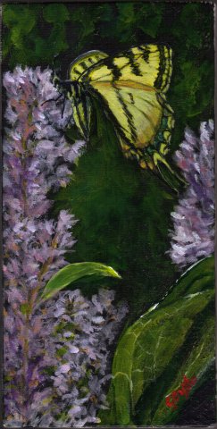 swallowtail-feasting-by-dj-geribo.jpg