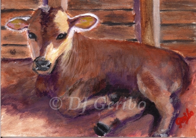 sunny calf original acrylic painting by DJ Geribo